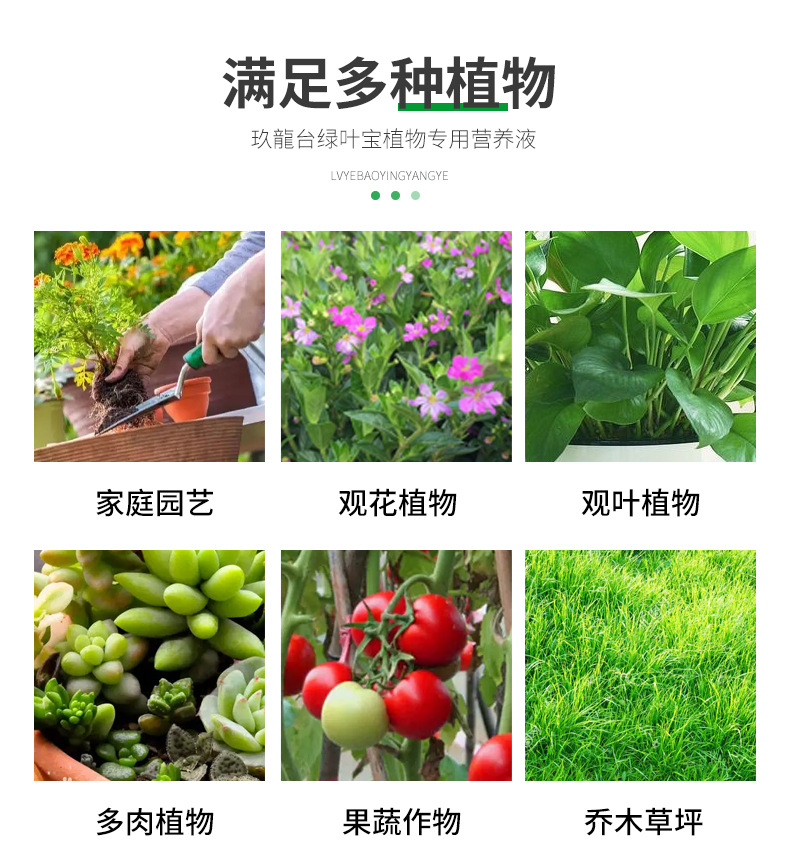 綠葉寶詳情_07.jpg