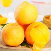 正宗蒙陰黃桃新鮮水果黃金當(dāng)季孕婦蜜桃甜脆桃子現(xiàn)貨整箱10斤包郵