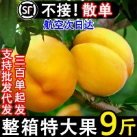 正宗蒙陰黃桃新鮮水果黃金當(dāng)季孕婦蜜桃甜脆桃子現(xiàn)貨10斤整箱包郵