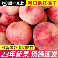 丹東河口艷紅桃子新鮮當(dāng)季水果脆甜孕婦水蜜桃順豐五斤一件包郵