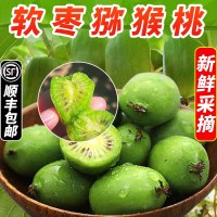 軟棗獼猴桃丹東2斤迷你奇異果當季現(xiàn)摘新鮮水果順豐一件整箱包郵