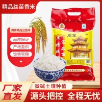 周寨精品絲苗香米新米微堿土壤種植10斤便民裝口感軟糯廠家貨源
