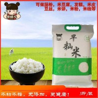 安徽早秈米早稻早谷米豆絲豆皮發(fā)糕腸粉面窩熬粥炒飯米真空裝5斤