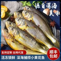 小黃花魚新鮮冷凍黃魚生鮮水產(chǎn)鮮活海魚鮮黃魚鲞大黃魚小黃魚商用