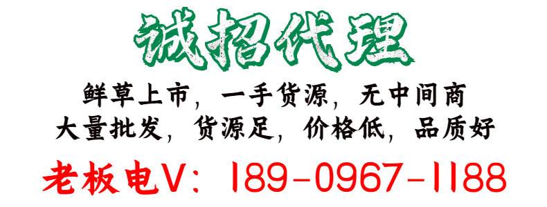 自定義模板 (7)