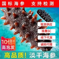 工廠直供淡干海參干貨遼刺參干參禮盒非即食海參廠家直供海參干貨