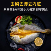 寧德醇香大黃魚開背黃魚鲞新鮮深海黃花魚海鮮大黃魚批發(fā)一件代發(fā)