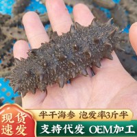 批發(fā)半干海參送禮大連特產(chǎn)干貨刺參500g禮盒裝家庭烹飪鮮食遼參