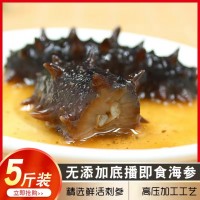 工廠批發(fā)代發(fā)大連海參順豐包郵即食禮盒裝鮮即食深海遼參刺參 500g