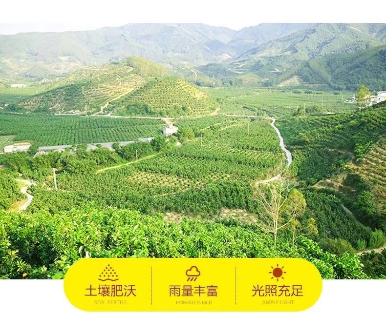 微信圖片_202204171919405.jpg
