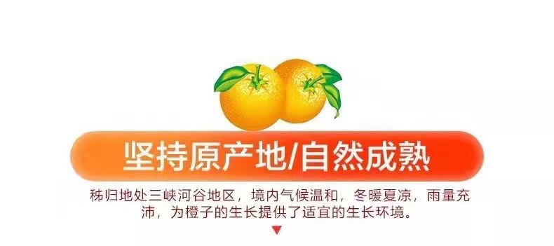 微信圖片_202204171919408.jpg
