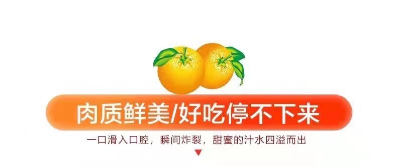 微信圖片_202204171919403.jpg
