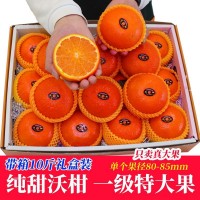 沃柑新鮮廣西武鳴一級(jí)純甜特級(jí)大果現(xiàn)摘橘子10斤禮盒當(dāng)季水果桔子