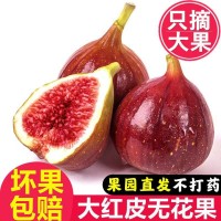 無花果新鮮紅皮大果應季甜糯孕婦水果5/3斤當季青皮整箱批發(fā)跨境