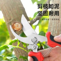 果樹修枝剪樹枝園藝剪刀專用花藝花卉枝剪子剪枝園林工具花剪修剪