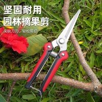 摘果剪強(qiáng)力修枝剪子園林稀果摘果剪葡萄修枝專用剪刀蔬果采摘剪子