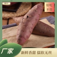 高質量天然炭烤缸薯 沙地番薯口感新鮮 薯匠 長期供應