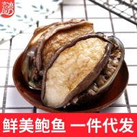 一件代發(fā)鮑魚 海鮮帶殼活凍鮑魚酒店婚宴食材批發(fā)真空包裝批發(fā)