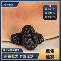 河北桑葚干整箱批發(fā)干桑葚水洗無沙散裝箱裝大貨供應量大價優(yōu)