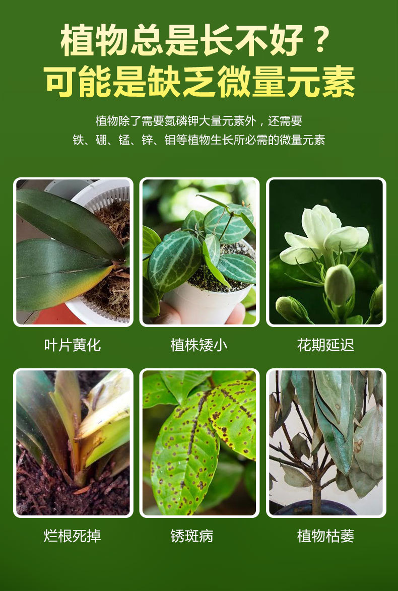 營養(yǎng)液詳情_03.jpg