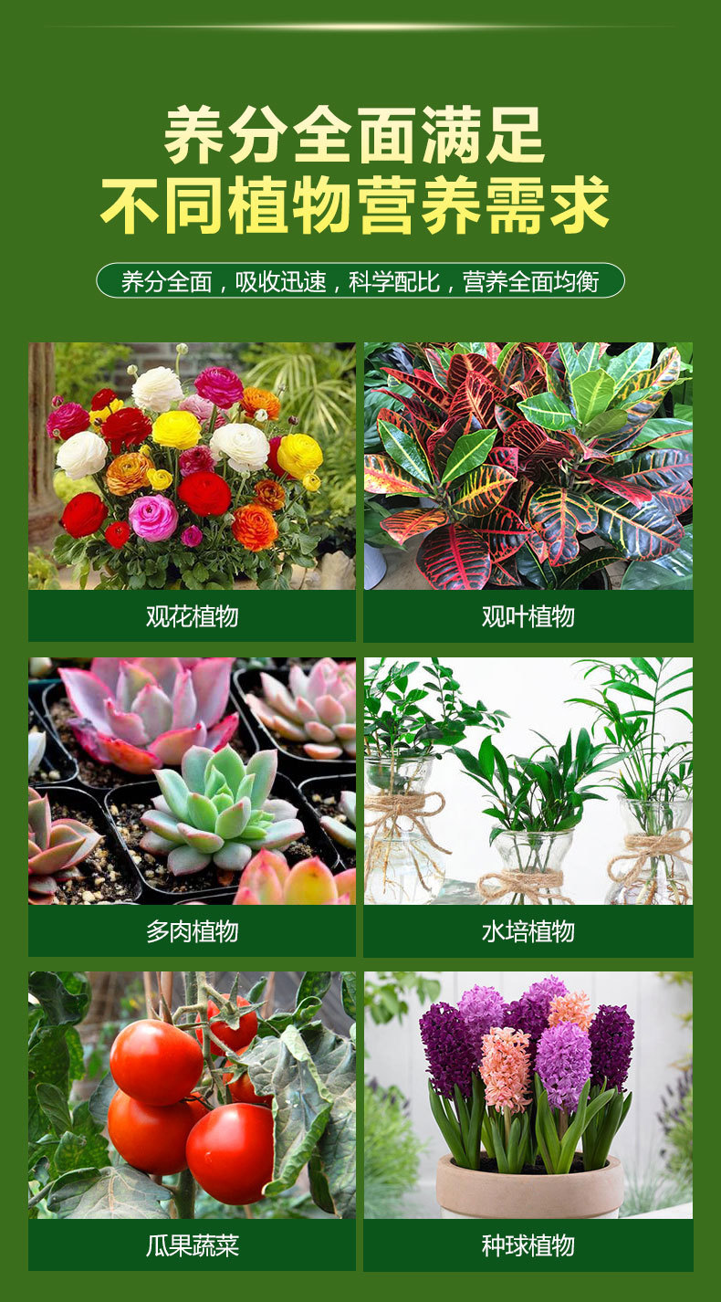 營養(yǎng)液詳情_06.jpg