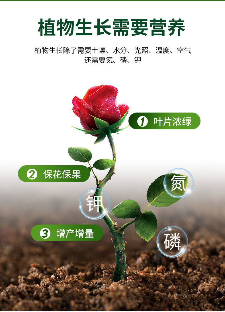 營養(yǎng)液詳情_18.jpg