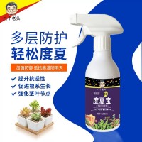 廠家供應(yīng)八個老頭多肉度夏寶植物抗逆護理液多肉專用營養(yǎng)液抗高溫
