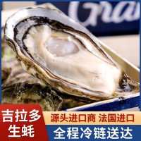 吉拉多法國進口生蠔產(chǎn)地批發(fā)海鮮鮮活生蠔大量批發(fā)水產(chǎn)大生蠔即食