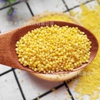 黃小米新小米批發(fā)月子米寶寶米25kg熬粥小黃米小米粥雜糧東北小米