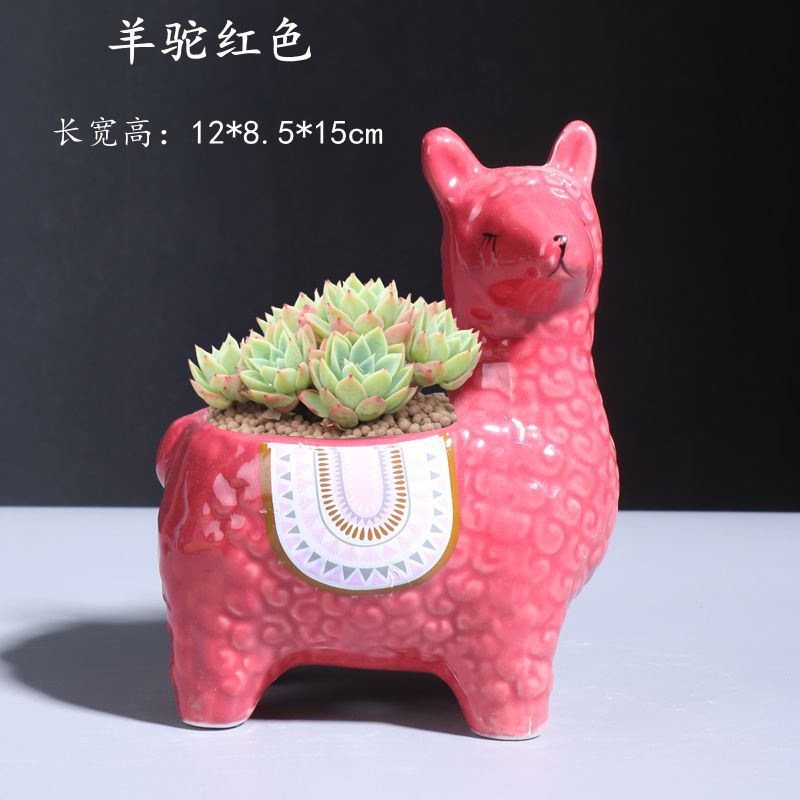 羊駝紅色