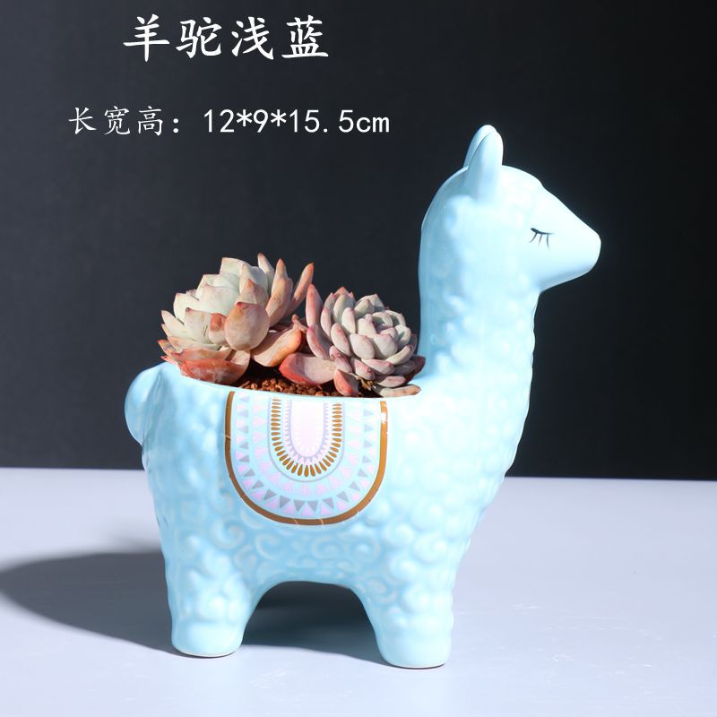 羊駝淺藍