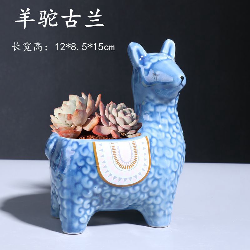 羊駝古蘭