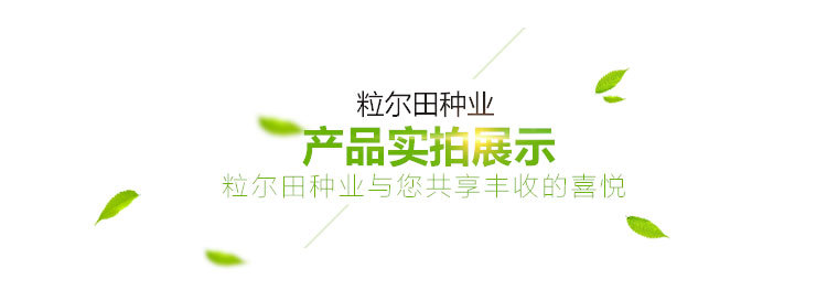 雙欣世嘉_13.jpg