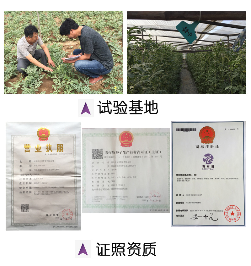 通用1