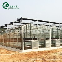 湖北玻璃溫室大棚廠家花卉陽光房玻璃溫室觀光大棚建設(shè)設(shè)計(jì)安裝