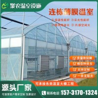 薄膜連棟溫室 連體溫室外遮陽(yáng)連棟棚溫室大棚工程建設(shè)大棚管廠家