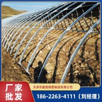 天津大棚廠家加工溫室大棚骨架 農(nóng)業(yè)蔬菜水果種植大棚 單體插地棚