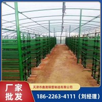 包塑棚廠家安裝 羊棚、雞棚、魚棚、蝦棚 農(nóng)用家用動(dòng)物水產(chǎn)養(yǎng)殖棚