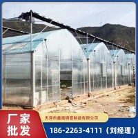 天津大棚廠家設(shè)計(jì)安裝農(nóng)用育苗棚 冬季日光暖棚 反季節(jié)種植大棚