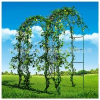園藝拱形花架支架爬藤架 婚慶氣球門(mén)拱門(mén)花園陽(yáng)臺(tái)花卉葡萄爬藤架