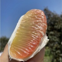 柚子新鮮多汁柚子功夫泰柚新鮮水果進(jìn)口金蜜柚西柚泰國蜜柚32斤裝
