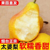 山東煙臺太婆梨香蕉茄新鮮當(dāng)季水果整箱水果笨梨東北大頭梨老媽子