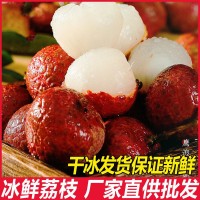 冷鏈包郵冷凍荔枝新鮮水果冰鎮(zhèn)荔枝商用速凍荔枝奶茶店批發(fā)500g/