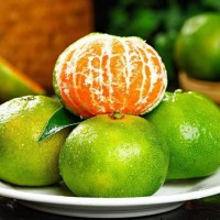 云南青皮蜜桔蜜橘新鮮當(dāng)季水果橘子酸甜產(chǎn)地直發(fā)一件代發(fā)