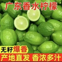廣東香水檸檬無籽果園現(xiàn)摘新鮮奶茶店商超專用濃香型批發(fā)一件代發(fā)