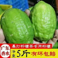 海南香水檸檬新鮮現(xiàn)摘檸檬零售批發(fā)無籽清香味包郵奶茶飲品店專用