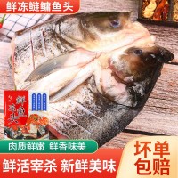 新鮮冷凍花鰱魚頭剁椒魚頭鰱鳙魚頭商用餐飲酒店半成品廠家批發(fā)