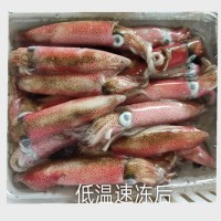 東山小管 活凍魷魚(yú) 小魷魚(yú) 甜脆爽口 鮮嫩美味 全國(guó)包郵
