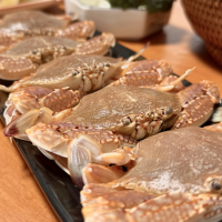 批發(fā)、代發(fā)東山島扁蟹肉蟹梭子蟹鮮活海捕冷凍廠家直供