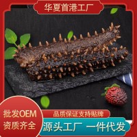 紅刺海參紅極參美國紅參阿拉斯加紅刺參加拿大刺參進(jìn)口淡干海參批